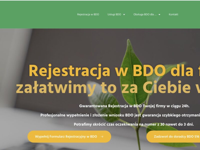 Jak poprawić błąd we wniosku BDO – skuteczna korekta online